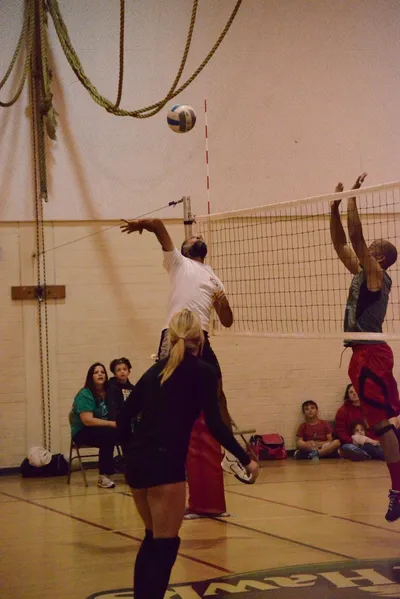 DSC_1732 (Large).JPG